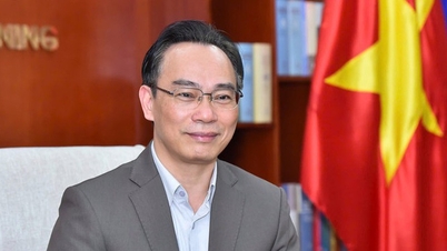 Neue Aufgabenverteilung bezüglich der Pflichten des amtierenden Ministers Hoang Minh Son und dreier stellvertretender Minister.