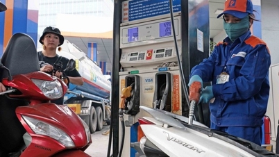 La gente y las empresas necesitan unir fuerzas con el gobierno para capear el temporal del aumento de los precios del combustible.