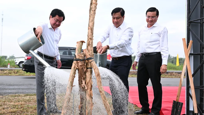 Tay Ninh aims to plant at least 300,000 trees by 2026.
