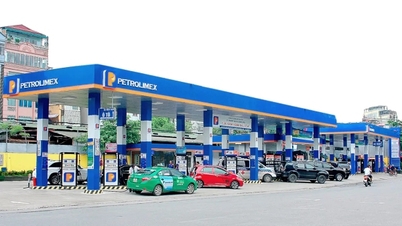 Ministerul Industriei și Comerțului a solicitat companiilor petroliere să nu acumuleze bunuri și să mențină o aprovizionare stabilă.