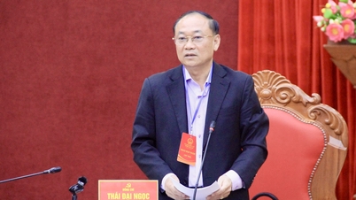 La provincia de Gia Lai está implementando exhaustivamente los preparativos para la elección de diputados a la 16ª Asamblea Nacional y los Consejos Populares en todos los niveles para el período 2026-2031.