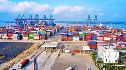 Primer bimestre de 2026: Las exportaciones e importaciones de bienes aumentaron más del 22%.
