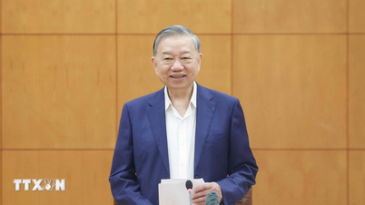 A Hanoi Városi Pártbizottság Állandó Bizottságának ellenőrzéséről és felügyeletéről szóló határozat bejelentése.