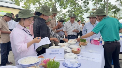 O Festival dos Produtores de Arroz apresenta novas variedades de arroz e demonstra técnicas agrícolas avançadas.