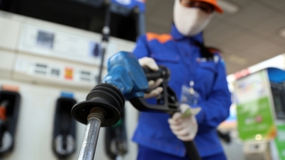 Pedepsiți cu strictețe practicile frauduloase în industria benzinei și GPL-ului.