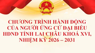 Plan działania kandydatów do Rady Ludowej Prowincji Lai Chau, XVI kadencja, 2026-2031