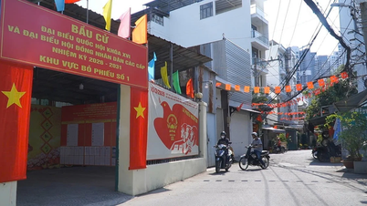 Ho Chi Minh City: Phu Thuan and Xuan Hoa wards are urgently preparing for the March 15th election.