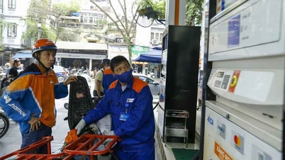 Implementarea de soluții pentru asigurarea aprovizionării cu produse petroliere pe piața internă.
