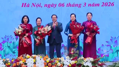 Primeiro-ministro: É preciso criar mais prêmios para homenagear as mulheres vietnamitas.