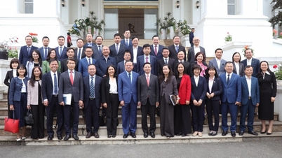 A delegação de chefes das representações vietnamitas no exterior para o biênio 2025-2028 visitou e realizou trabalhos em Tuyen Quang.