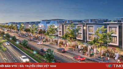נאם קואנג יוצר "מערכת אקולוגית ירוקה" נדירה בחלק המערבי של האנוי.