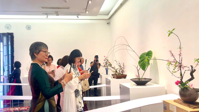 Nyt kunsten å arrangere japanske blomster i Hanoi.