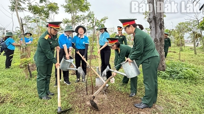 The Provincial Women's Union planted nearly 400 trees at the Youth Park.