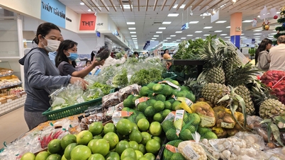 The Consumer Price Index (CPI) in February 2026 increased by 0.82% due to increased shopping and travel demand during the Lunar New Year holiday.