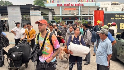 Genh Köprüsü'ne mavna çarptı: Karayoluyla yolcu taşımacılığına başlandı.
