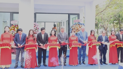 Đà Nẵng khai trương Trung tâm Đào tạo, nghiên cứu và phát triển ứng dụng robot công nghiệp và trí tuệ nhân tạo