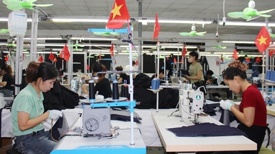 Bac Ninh: Sinais positivos da arrecadação de impostos internos.