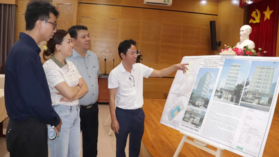 Ho Chi Minh City: More hotel projects to be launched in the Bai Sau area.