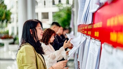 Выборы в Национальное собрание и Народный совет: Ханой усиливает взаимодействие между избирателями и кандидатами.