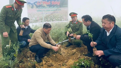 Lung Cu melancarkan kempen penanaman pokok buah-buahan yang dikaitkan dengan pembangunan pelancongan hijau.