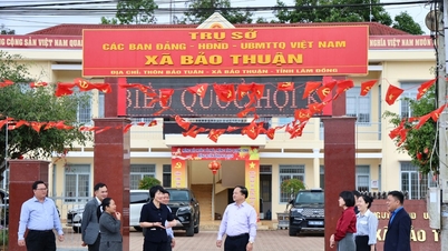 Bao Thuan pada dasarnya telah menyelesaikan persiapan pemilu.