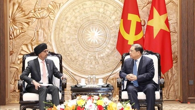 Het hoofd van het centrale partijbureau ontvangt de Singaporese ambassadeur.
