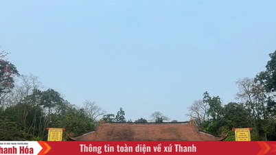 বসন্ত ভ্রমণের প্রবণতা ক্রমশ বৃদ্ধি পাচ্ছে।