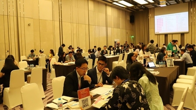 Renforcer les liens touristiques entre le Vietnam et le Japon.