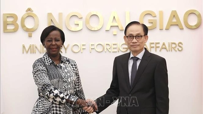 Menteri Luar Negeri Le Hoai Trung mengadakan pembicaraan dengan Sekretaris Jenderal Organisasi Frankofon.