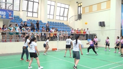 Spannend damesvolleybaltoernooi in de gemeente Thanh Oai, 2026