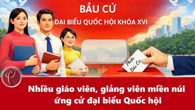 គ្រូបង្រៀន និងសាស្ត្រាចារ្យជាច្រើនរូបមកពីតំបន់ភ្នំកំពុងឈរឈ្មោះបោះឆ្នោតជ្រើសរើសសមាជិករដ្ឋសភានីតិកាលទី១៦។