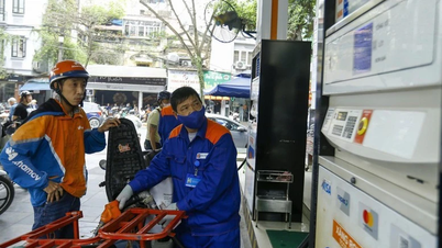 Some urgent solutions to respond to conflicts in the Middle East, ensuring domestic fuel supply.