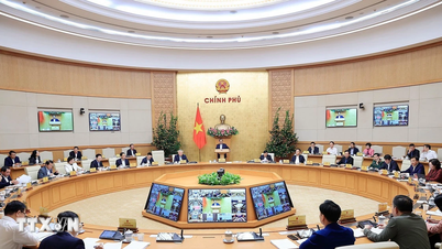 Implementar soluciones urgentes de seguridad energética ante el conflicto en Medio Oriente.