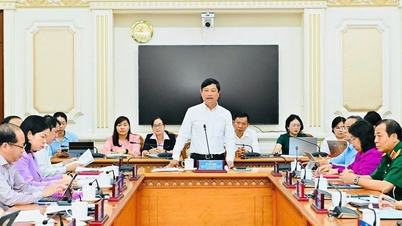 Ho Chi Minh City has finalized the 13 election committees for the 16th National Assembly elections.