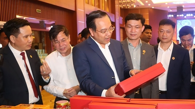 The Executive Committee of the Provincial Young Entrepreneurs Association implements the Association's tasks; organizes product exhibitions and trade promotion.