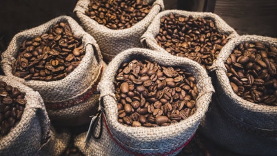 Prix ​​du café aujourd'hui, 7 mars : en hausse en raison des inquiétudes concernant les perturbations de l'approvisionnement, le robusta atteint son plus haut niveau en 2,5 semaines.