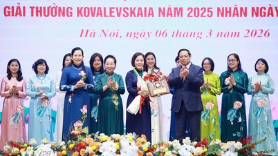 Professor Tran Thi Viet Nga en haar bijdrage aan de schoonmaak van de rivier.