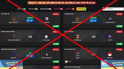 One click on a pirated website risks losing all your personal data.