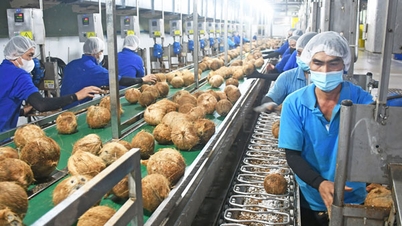 A integração proativa cria impulso para o crescimento sustentável.