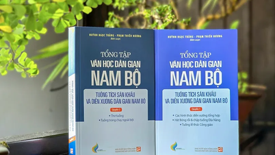 "កម្រង​ឯកសារ​អក្សរសាស្ត្រ​ប្រជាប្រិយ​វៀតណាម​ខាងត្បូង" - សៀវភៅ​ដ៏​មាន​តម្លៃ​អំពី​បេតិកភណ្ឌ​នៃ​តំបន់​ភាគខាងត្បូង។