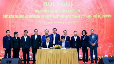 Hanoi och Ho Chi Minh-staden utbyter erfarenheter och samarbetar på ett omfattande sätt.