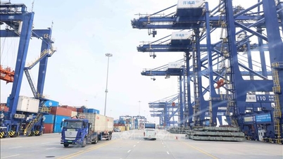 Hainan Province (China) expects to expand trade cooperation with Vietnam.