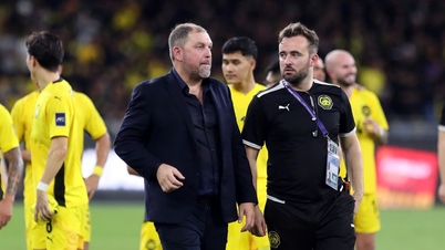 AFC oficiálně potvrdila dvě klauzule o penalizaci FAM a rozhodnutí, že malajský tým prohrál s Vietnamem.