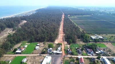Quang Ngai mempercepat kemajuan proyek jalan pesisir Xuyên senilai 5,6 triliun VND yang melewati hutan.