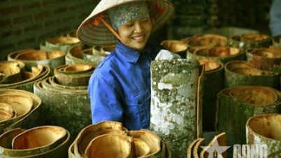 Memperluas pasar untuk kayu manis Lao Cai