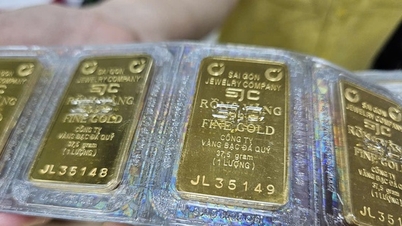 En la mañana del 7 de marzo, el precio de los lingotes de oro y los anillos de oro SJC continuó subiendo.
