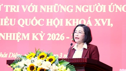 Vicepreședinta Adunării Naționale, Nguyen Thi Thanh, a participat la o întâlnire cu alegătorii din comuna Phat Diem, provincia Ninh Binh.