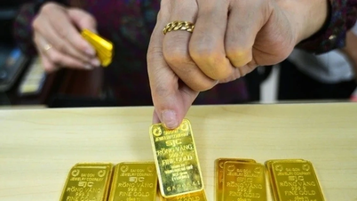 7 marca: Ceny sztabek złota i złotych pierścieni rosną o 1,2 mln VND/uncję.