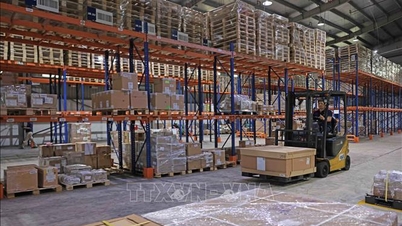 Dans un contexte de conflit au Moyen-Orient, les entreprises recherchent activement de nouveaux marchés.