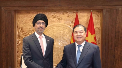 Pham Gia Tuc, szef Centralnego Biura Partii, przyjmuje ambasadora Singapuru.